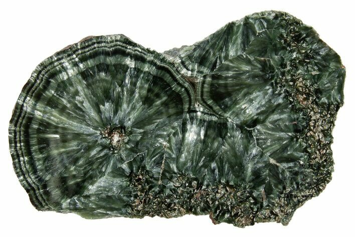 Polished Seraphinite Slab - Korshunovkiy Mine, Siberia #317732